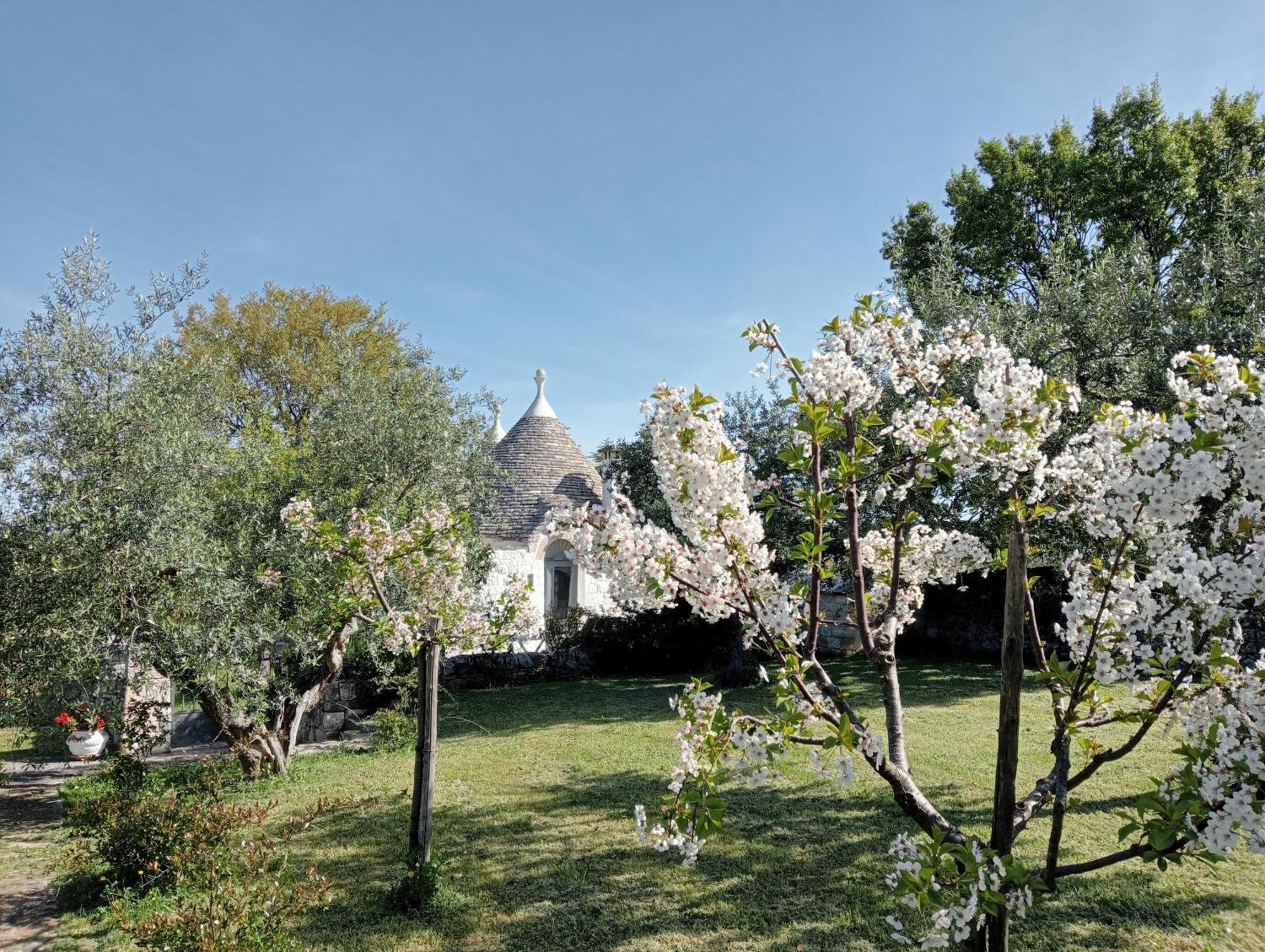 Villa Trulli Manuela Locorotondo Exterior foto